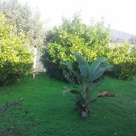 Lantställe Sa Pramma Santa Maria la Palma