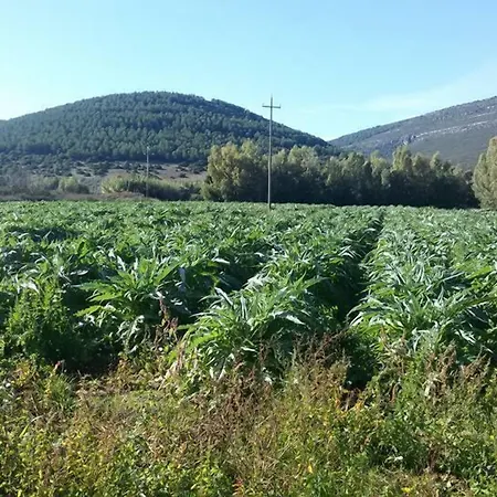 Sa Pramma * Santa Maria la Palma