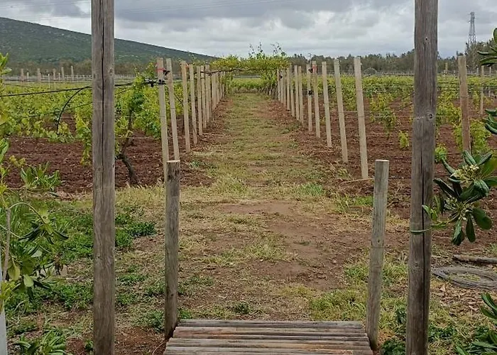 Sa Pramma * Santa Maria la Palma