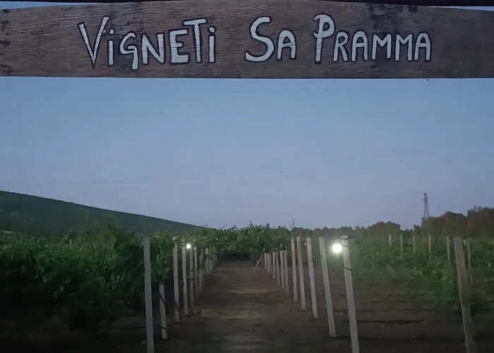 Sa Pramma Kır Evi