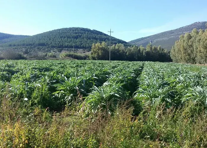 Sa Pramma * Santa Maria la Palma