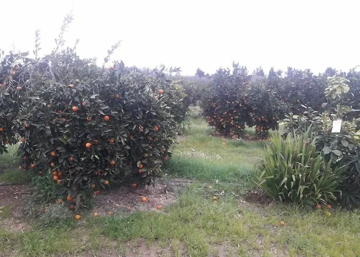 Sa Pramma Kır Evi